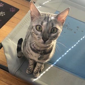 Meet your Posher, Caitie